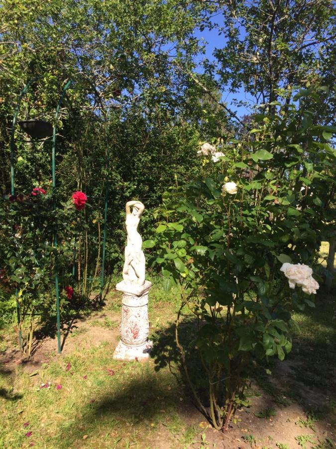 La Vigne Doree Saint-Martin-des-Champs  外观 照片